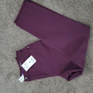 Gloria Vanderbilt Women's Amanda Classic Jeans